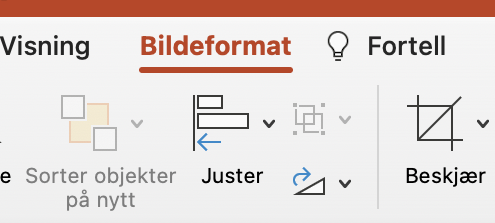 Bildeformat